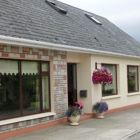 Palmgrove Bed & Breakfast Listowel Εξωτερικό φωτογραφία